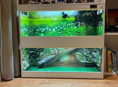Vivarium for rodent