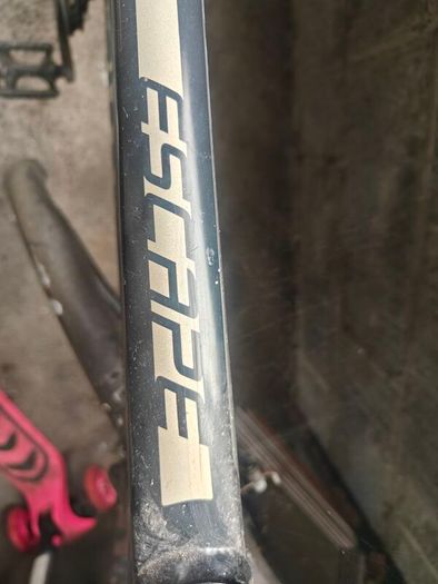 Giant Escape Bike