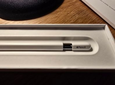 Apple iPad Pencil (USB-C)