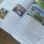 school books Image 3