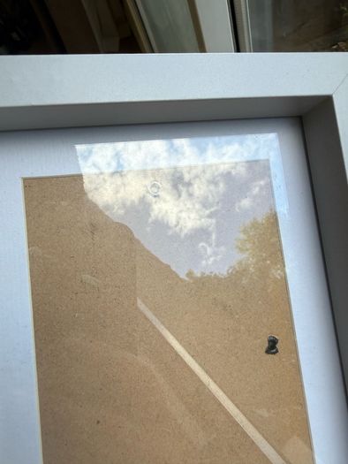 Grey next frame