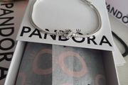 New genuine pandora rose clasp moments charm bracelet
