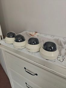 IP cameras