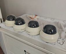 IP cameras