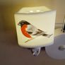 Robin Bird Electric Night Light Image 2