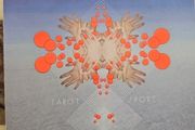 Fuck Buttons CD - Tarot Sport
