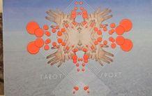 Fuck Buttons CD - Tarot Sport