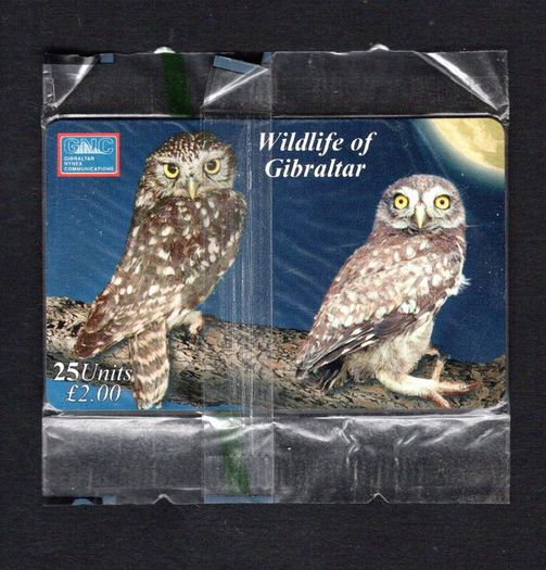 2001 Gibraltar 25 unit Wildlife of Gibraltar Little Owl (Siemens - S5 (Module 33)) Phonecard New in Packaging