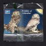 2001 Gibraltar 25 unit Wildlife of Gibraltar Little Owl (Siemens - S5 (Module 33)) Phonecard New in Packaging Image 2