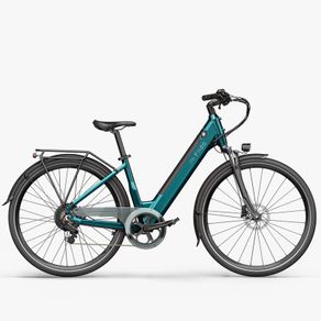 E-bike  Fiido C11