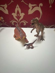 Dinosaur bundle