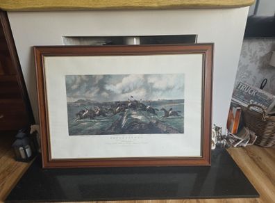 Horse racing picture from punchestown