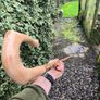 shepherds crook stick Image 2
