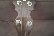 Tenor banjo.