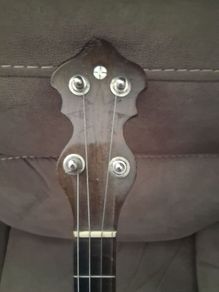 Tenor banjo.