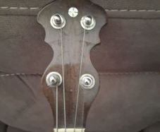 Tenor banjo.