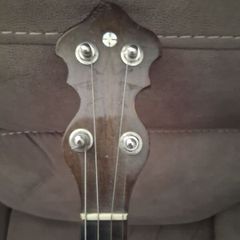 Tenor banjo.