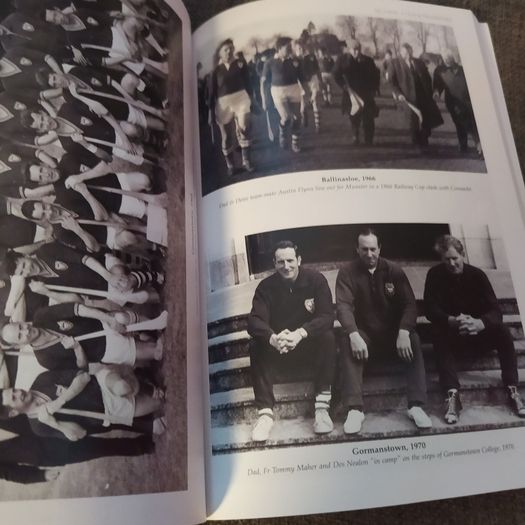 Hurling Revolutionary/ The Life & Times of Ned Power