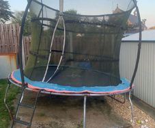 trampoline for free