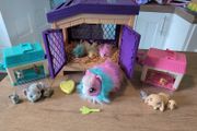 Little live pet sets