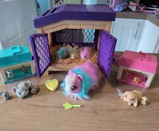 Little live pet sets