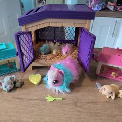 Little live pet sets