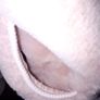 Dusty Pink Fur Hooded Jacket  size 31/32 Image 4