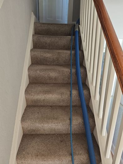 Professional Carpet and Upholstery Cleaning