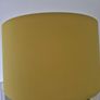 Mustard light shade Image 4