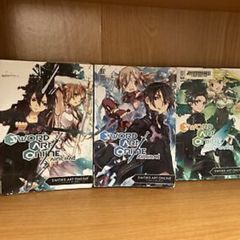 Sword Art Online Novel