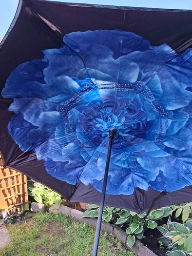 Reversal umbrella