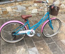 Elswick Childs bike