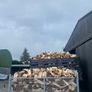 Timber for sale Image 3