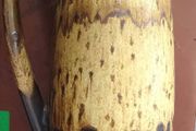 Vintage West German Ceramic Jug