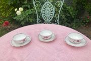 Antique French Limoges fine bone china 1892
