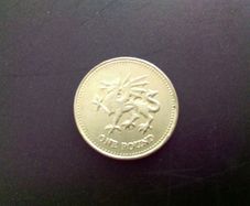 Old English Pound Coin