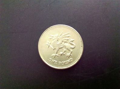 Old English Pound Coin