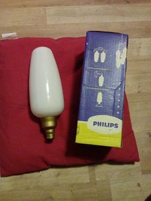Large lightbulb