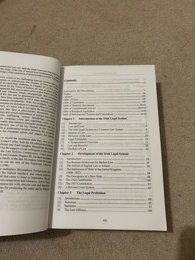 Byrne and McCutcheon on the Irish Legal System