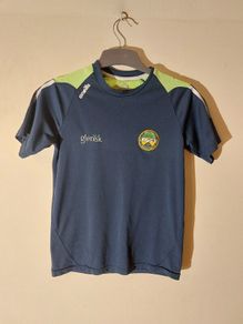 offaly gaa jersey