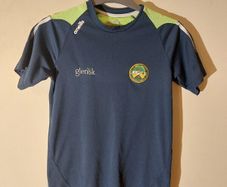 offaly gaa jersey