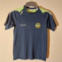 offaly gaa jersey