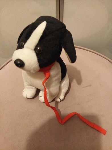 soft toy doggy on lead