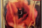 SECOND PRICE DROP! Love And Money - Dogs In The Traffic. Superb condition. Plays as new. Bargain!
