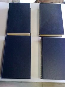 Dictionary &Thesaurus 4 volume matching set