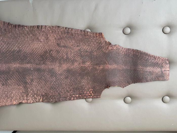 Snake Skin