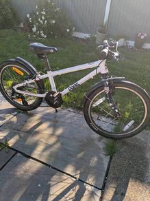 frog bike