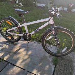 frog bike