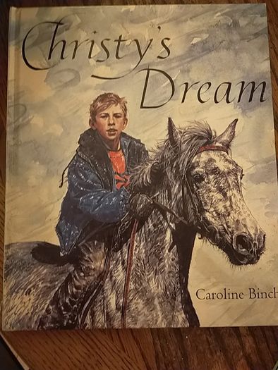 Kids Irish books individually priced