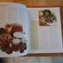 The Practical Encyclopedia of Whole Foods by Nicola Graines. Image 5